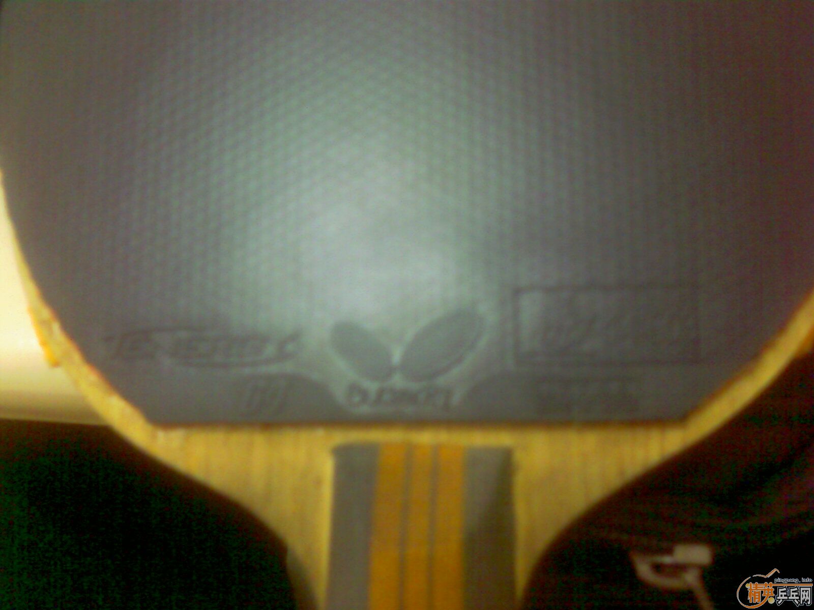 ת9T64һ