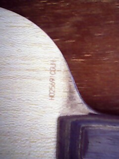 ����һֻƷ��õ��л����ĺ�����VIS