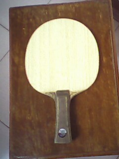 ����һֻƷ��õ��л����ĺ�����VIS