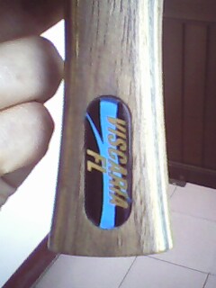 ����һֻƷ��õ��л����ĺ�����VIS