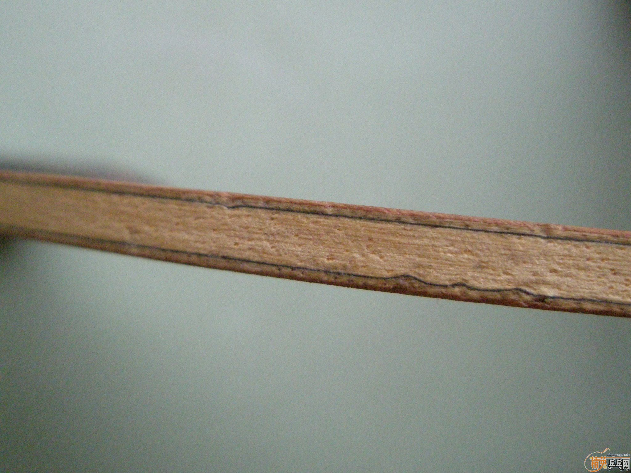 ֧��������98��ŷ�����������潻�����ȣ���������