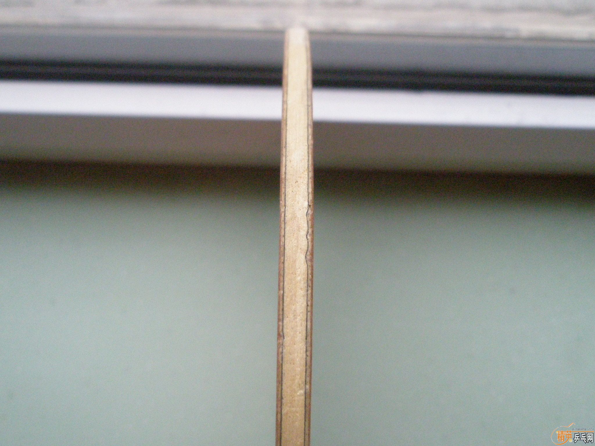 ֧��������98��ŷ�����������潻�����ȣ���������