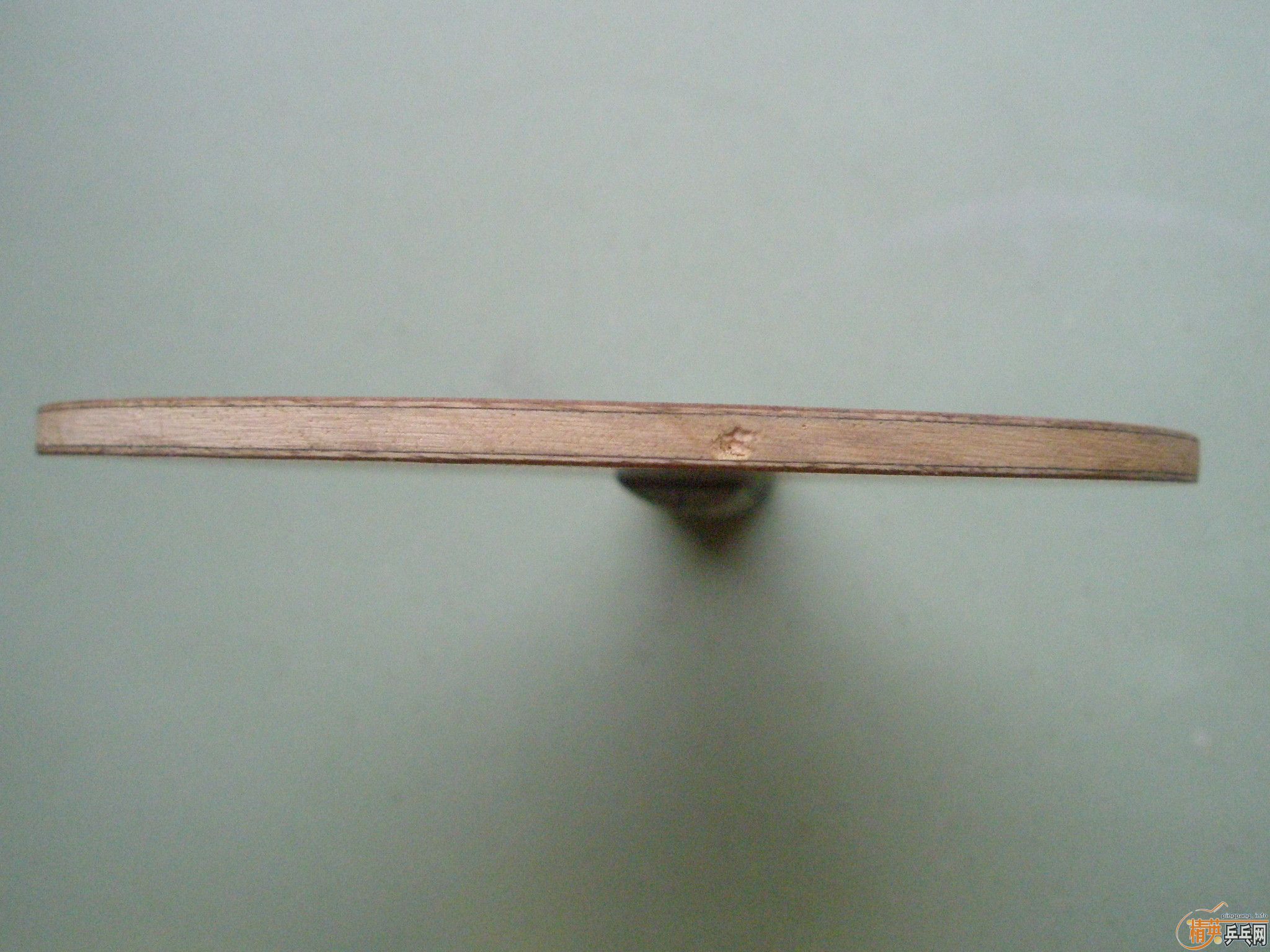 ֧��������98��ŷ�����������潻�����ȣ���������