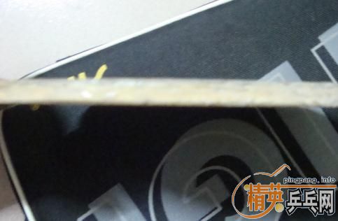 �����Գ�һֻ����̼