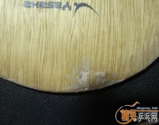 �����Գ�һֻ����̼