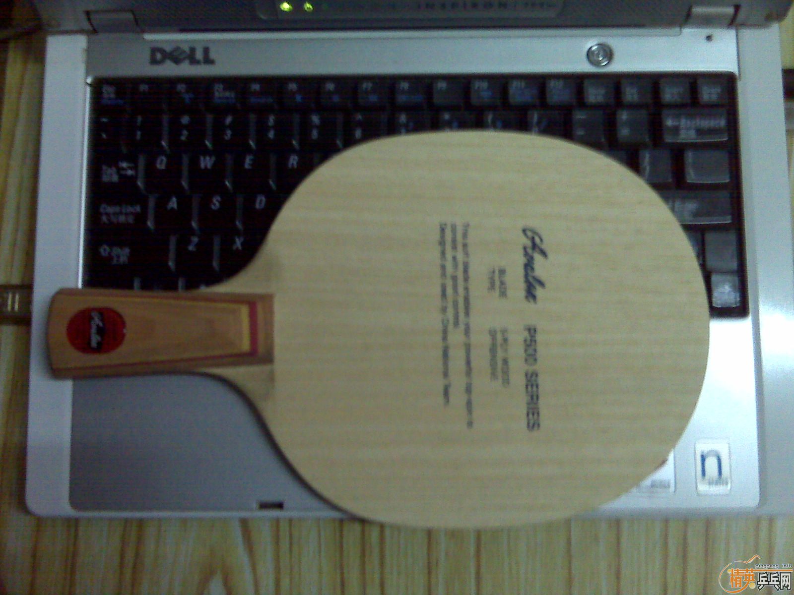 ��������P500