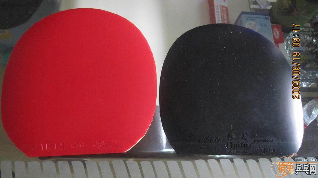 ��9.5�� �����ֺ���δ���39��+STIGA EVO1.8MM��130����