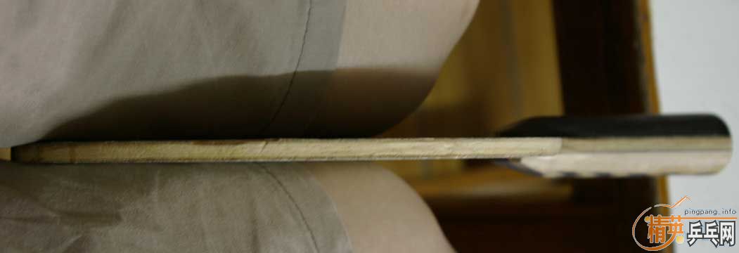 ���ģ��ȿû��֧������