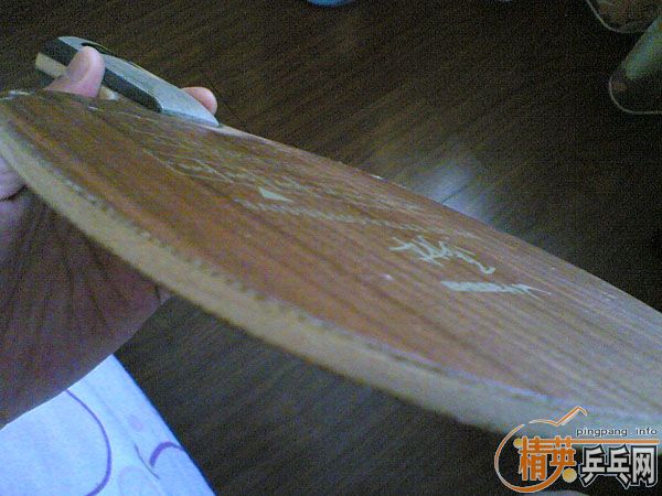 9.5YEO+ɫ39ʡ+ɫDONIC