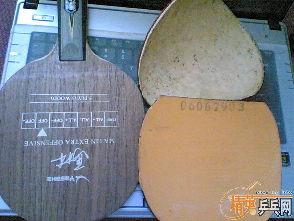 9.5YEO+ɫ39ʡ+ɫDONIC