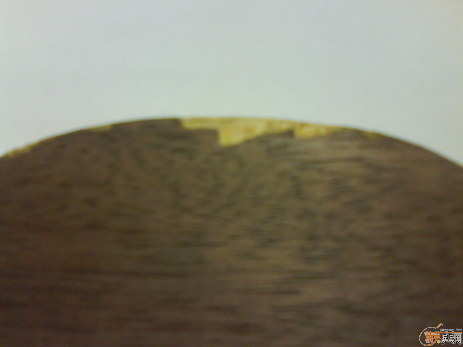 [�Ի����] ���� yasaka stiga OC WRB (�հ���OC)