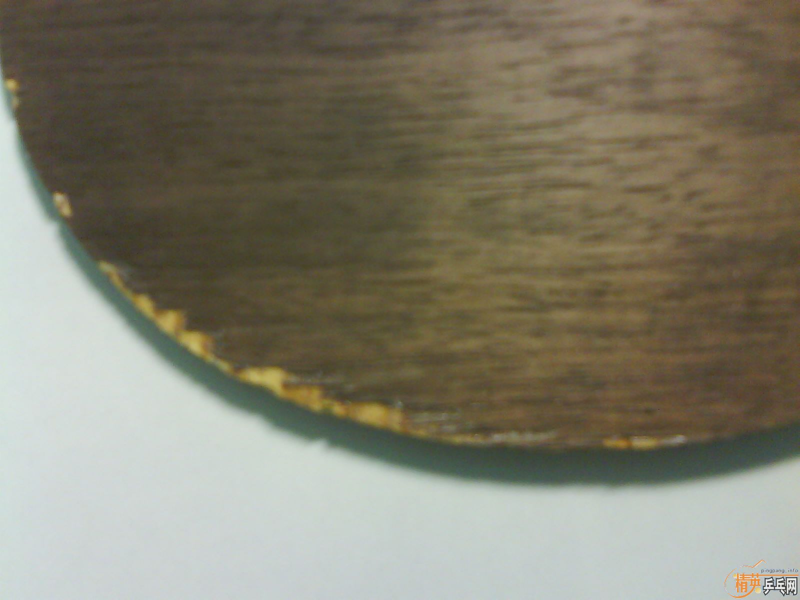 [�Ի����] ���� yasaka stiga OC WRB (�հ���OC)