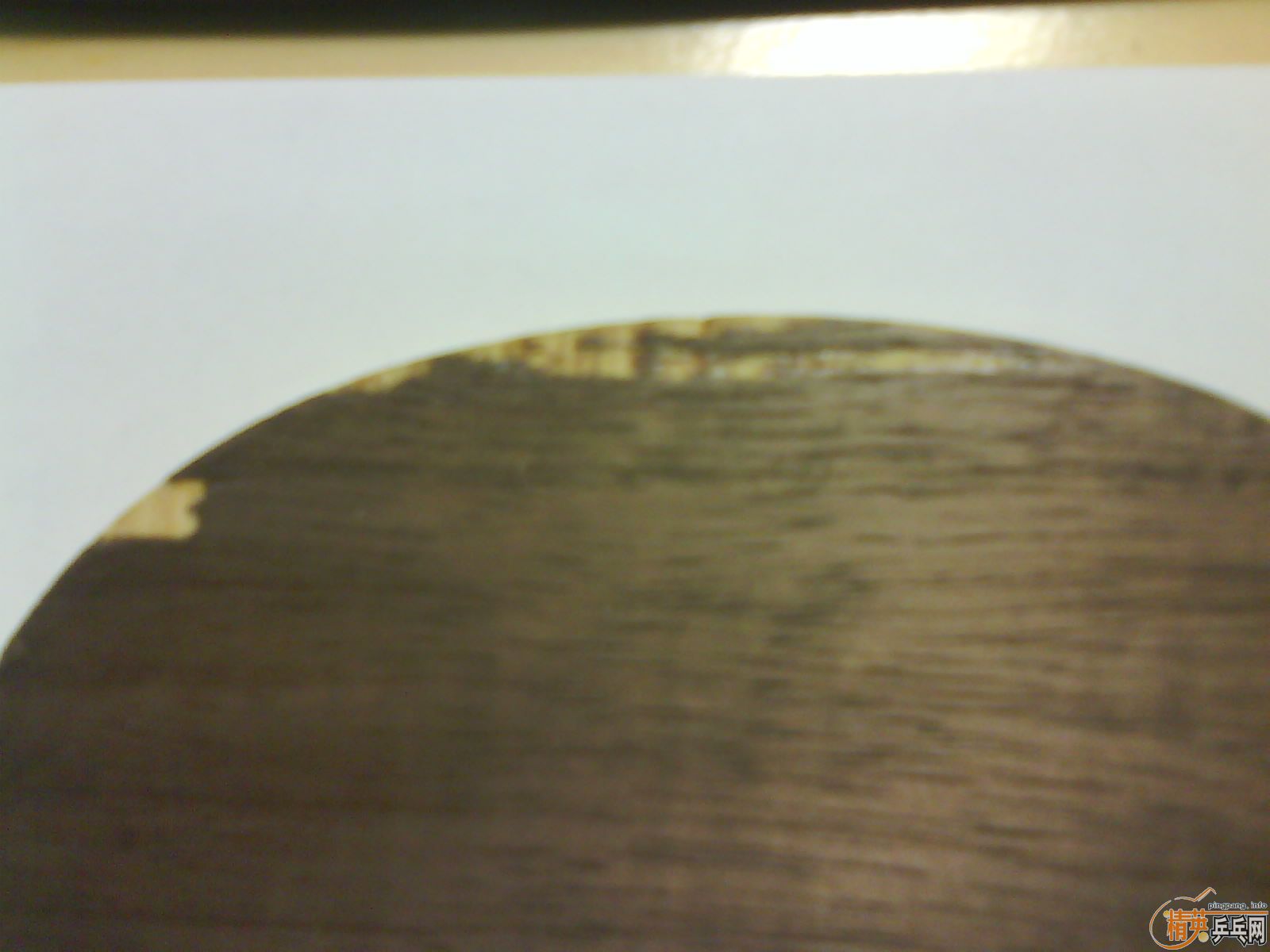 [�Ի����] ���� yasaka stiga OC WRB (�հ���OC)