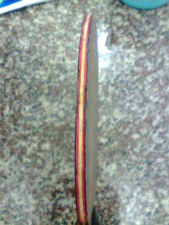 ����FL����ʤ�л����̼��7.6 wrb��08��3�¹�