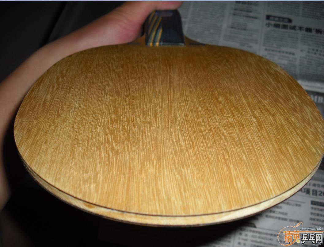 ���Լ���ս�ģ�EG��230����ݣ������ֺ�ɫ729-08