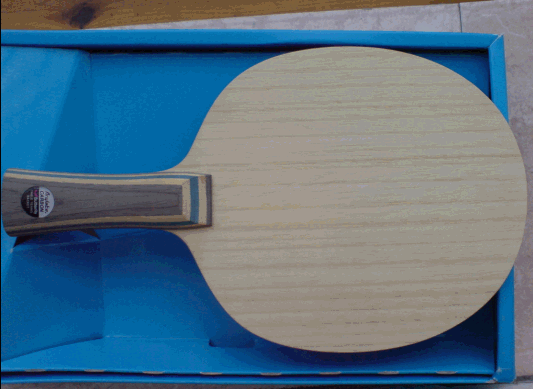 ���� Viscaria  ά˹������