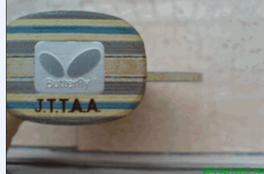 ���� Viscaria  ά˹������