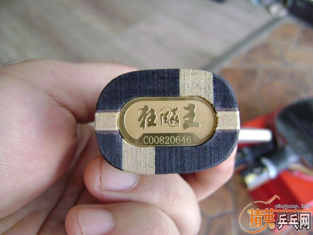 ����̬�� ����ͼ������һֻ