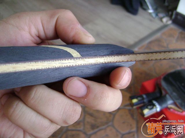 ����̬�� ����ͼ������һֻ