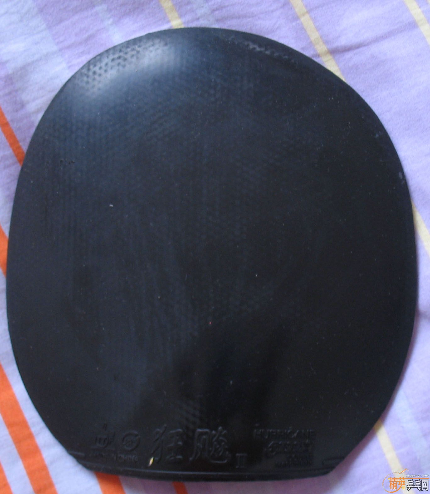 ������׽���ʡ��3���տ�2������£����ǣ�