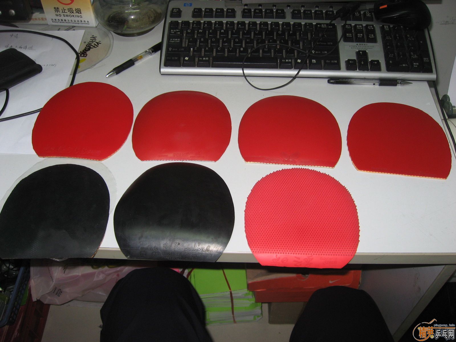 butterfly bryce,butterfly tackifire,��������,������