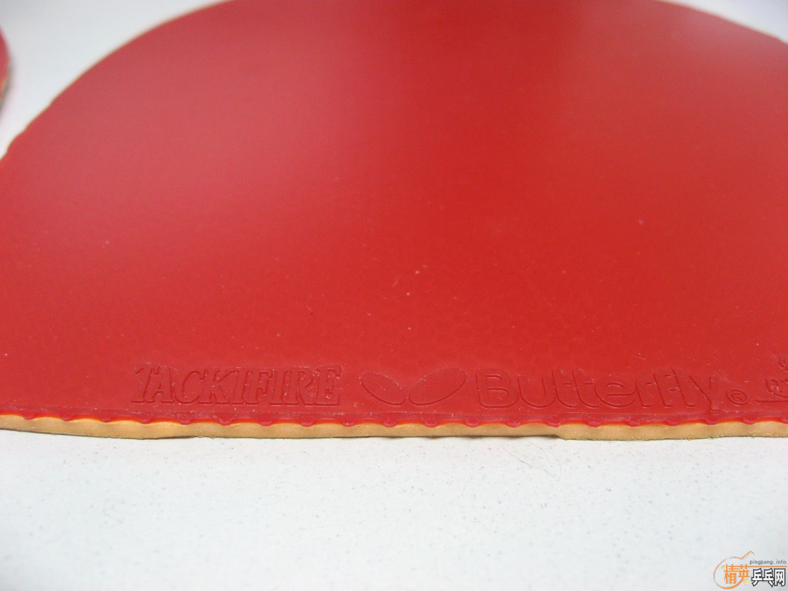 butterfly bryce,butterfly tackifire,��������,������