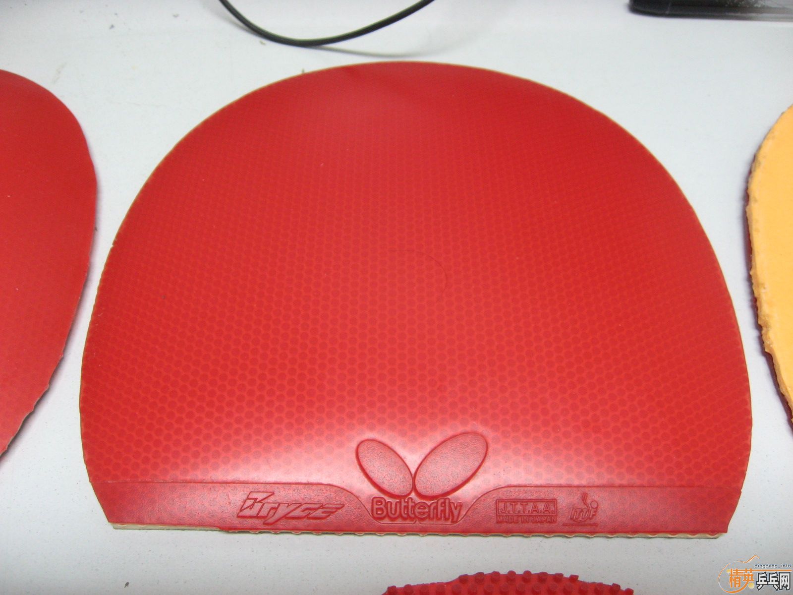 butterfly bryce,butterfly tackifire,��������,������