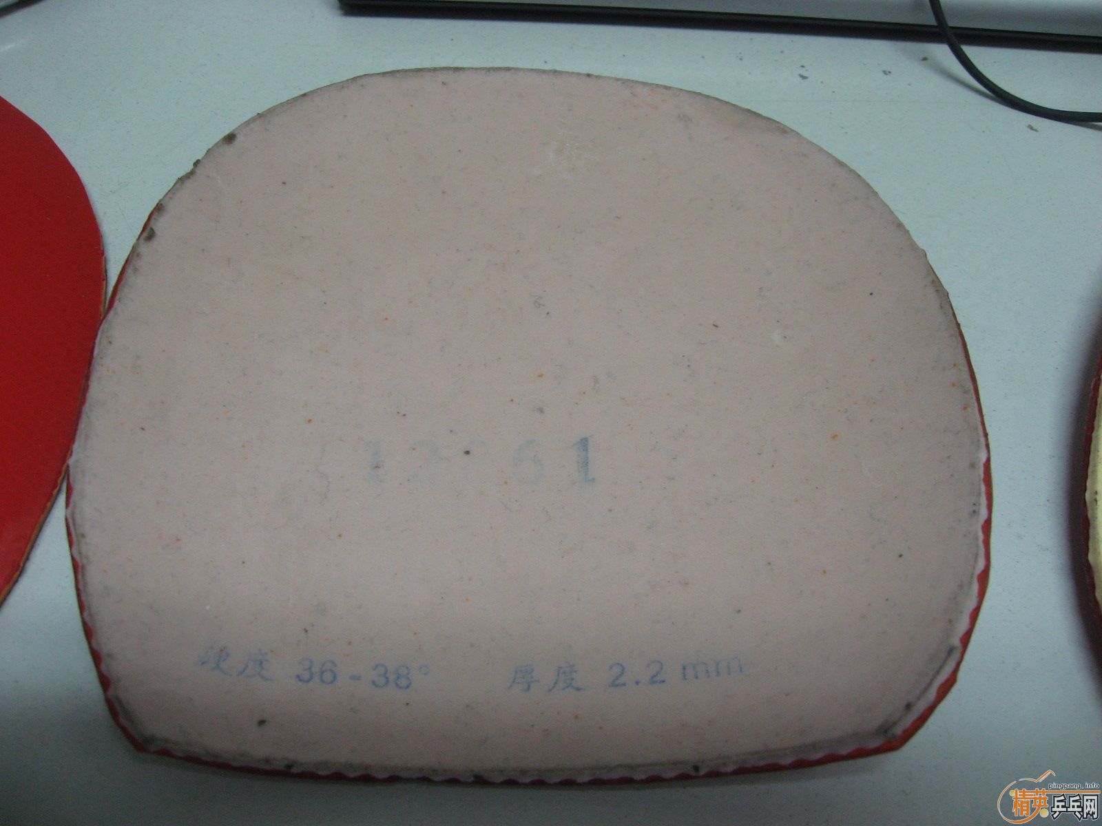 butterfly bryce,butterfly tackifire,��������,������