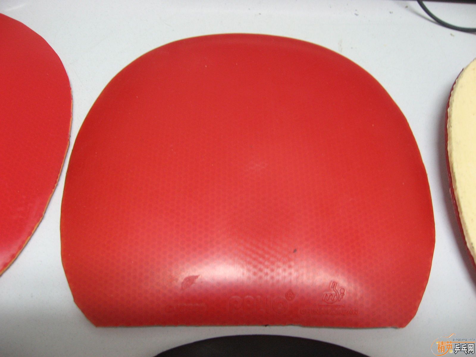 butterfly bryce,butterfly tackifire,��������,������