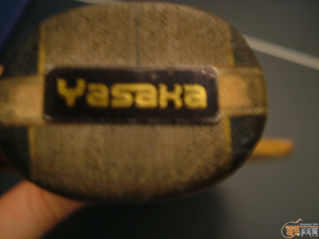 ��Ƥ�͵װ壨���ھ���YSC�л���