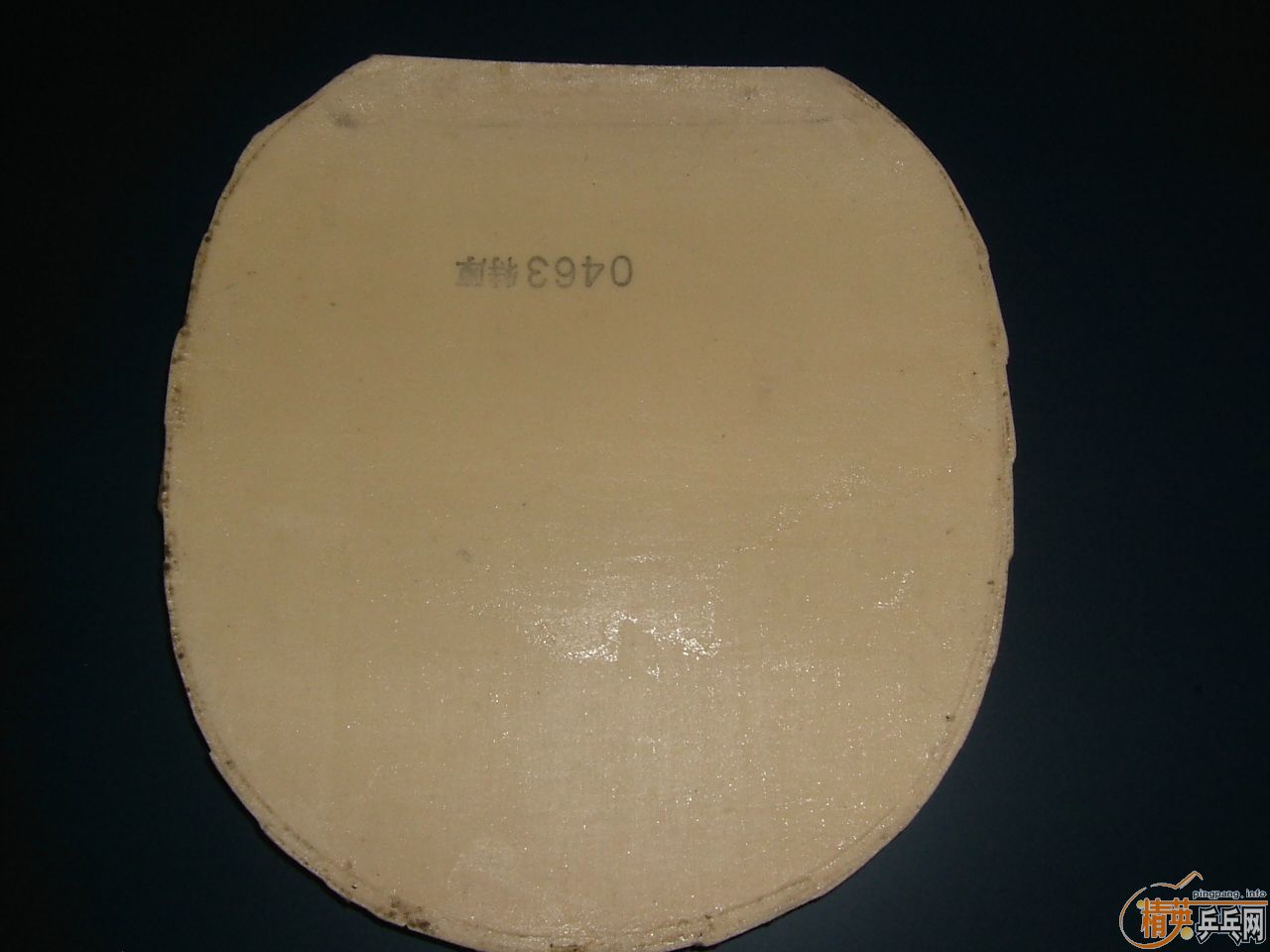 ��Ƥ�͵װ壨���ھ���YSC�л���