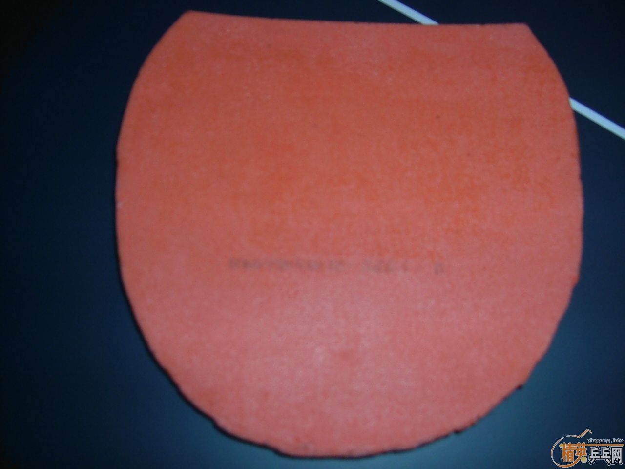 ��Ƥ�͵װ壨���ھ���YSC�л���