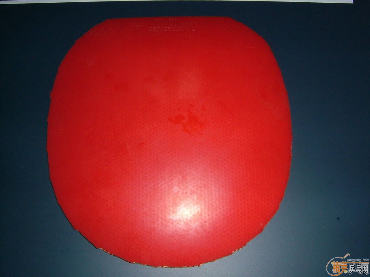 ��Ƥ�͵װ壨���ھ���YSC�л���