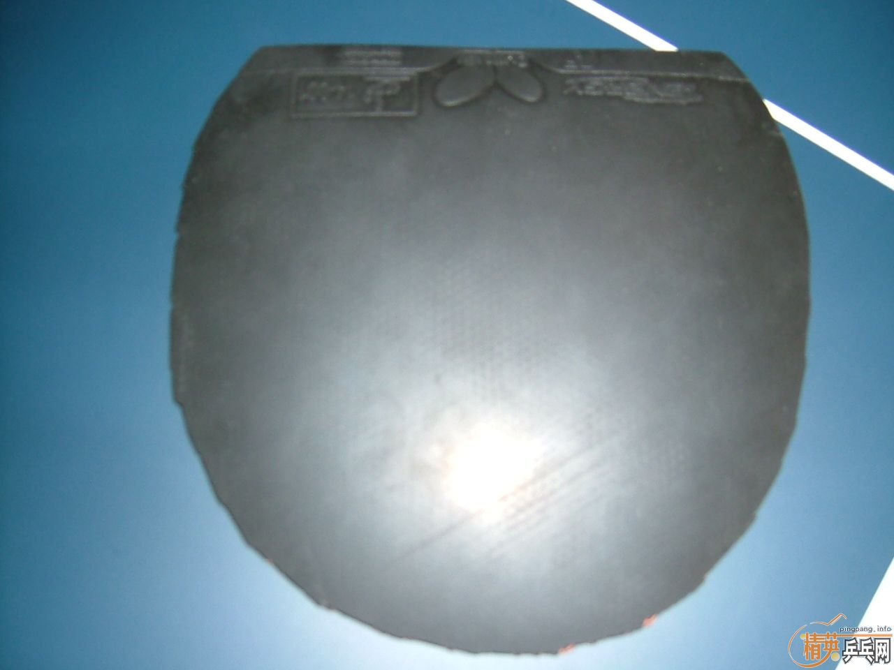 ��Ƥ�͵װ壨���ھ���YSC�л���