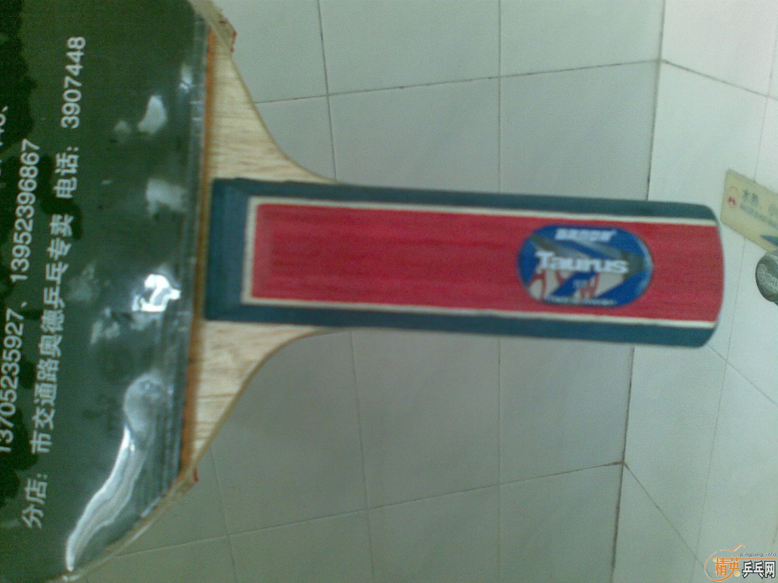 260���������quanxin�Ľ�ţ