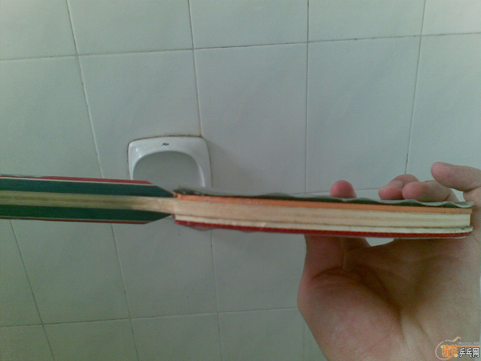 260���������quanxin�Ľ�ţ