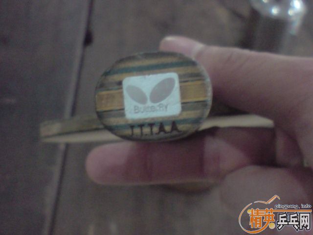 ���ƺ�����ֱ��