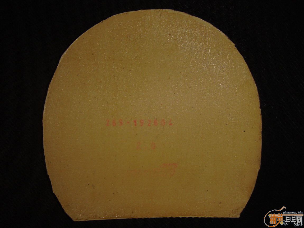 ���۳����� Roxon 500 pro ��450 ��һ�飬����ɫ T05