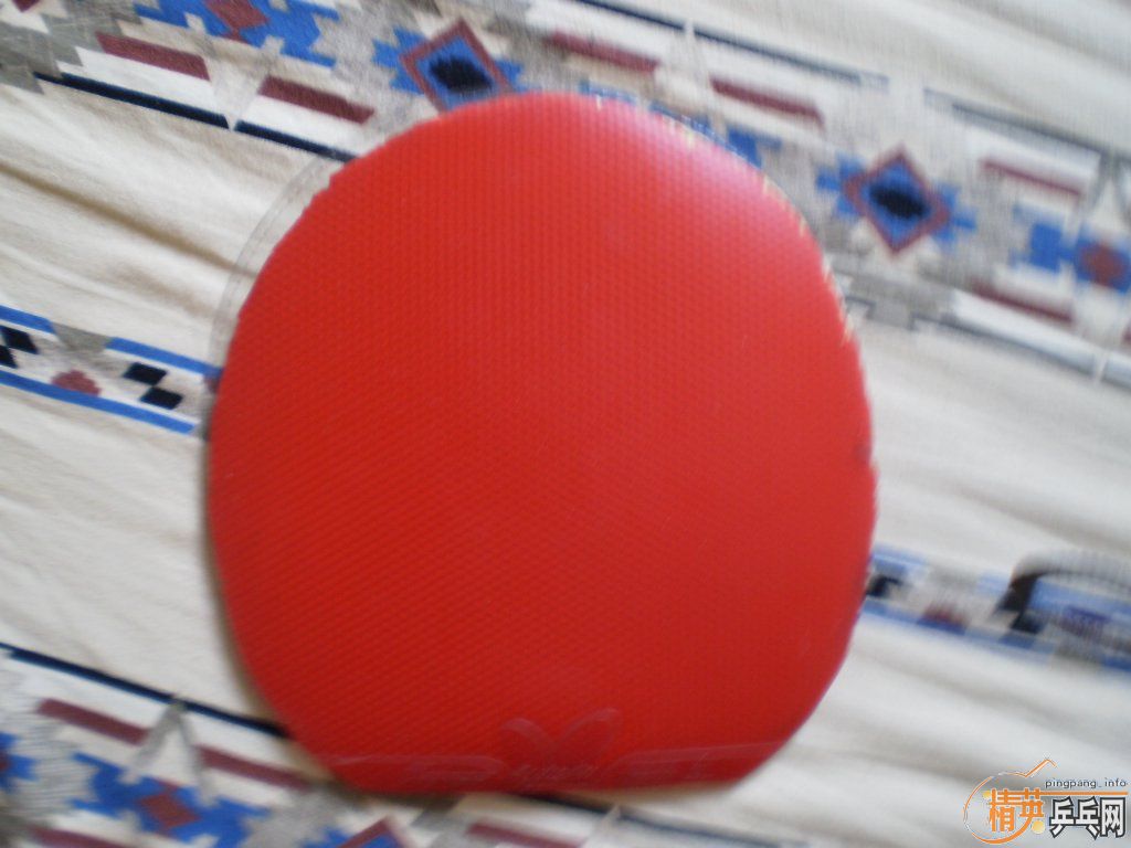 ������TSp����\�˳��´��FX