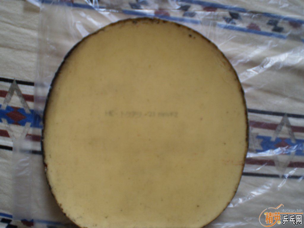 ������TSp����\�˳��´��FX