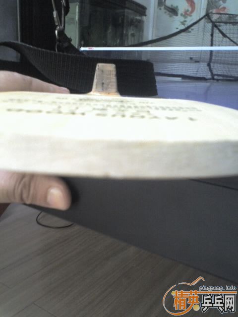 95�����Ӿ��ް�95����ֱ�����ú�˫ϲ9��666�׽�120����