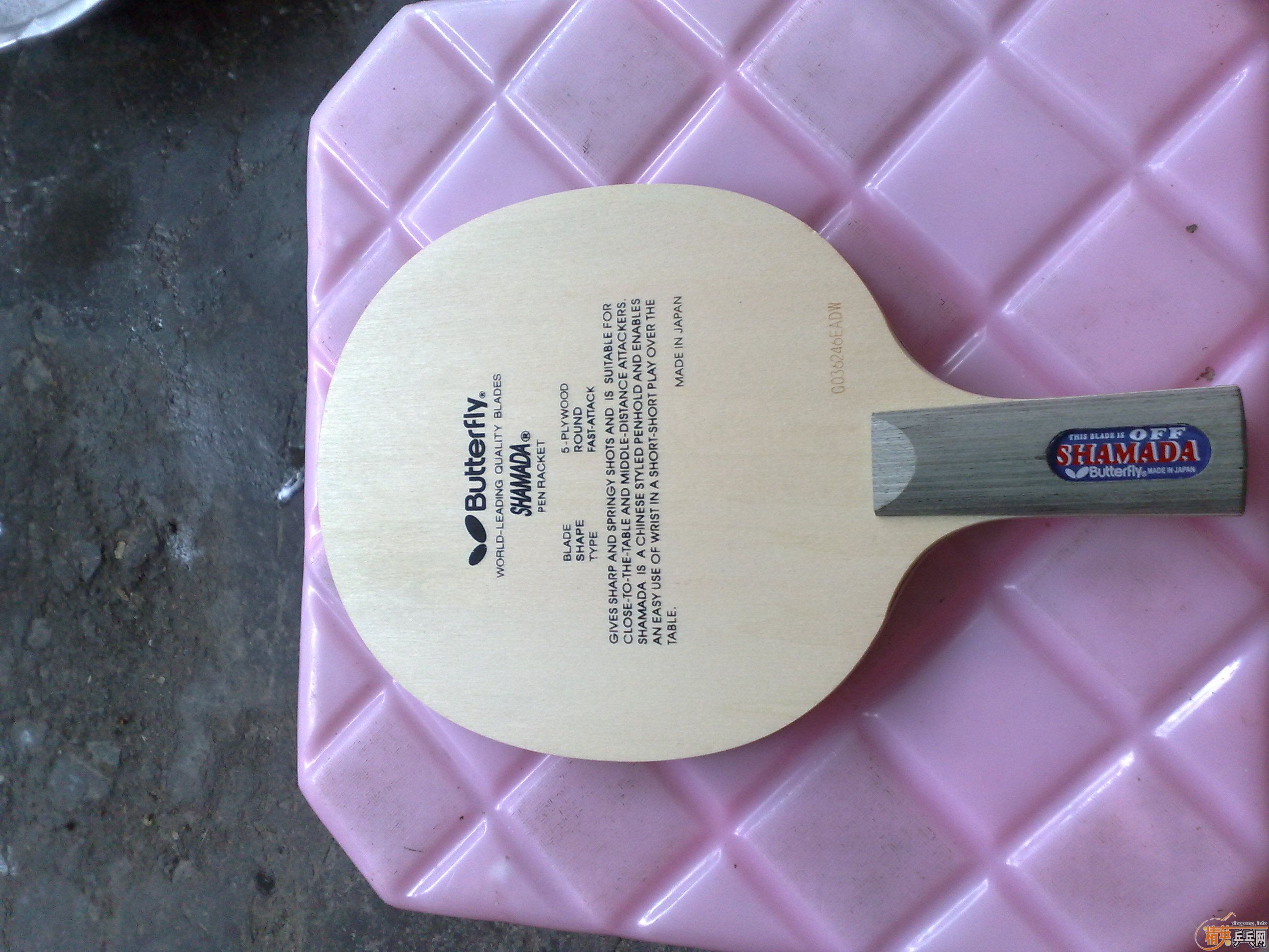 ��������ɳ����