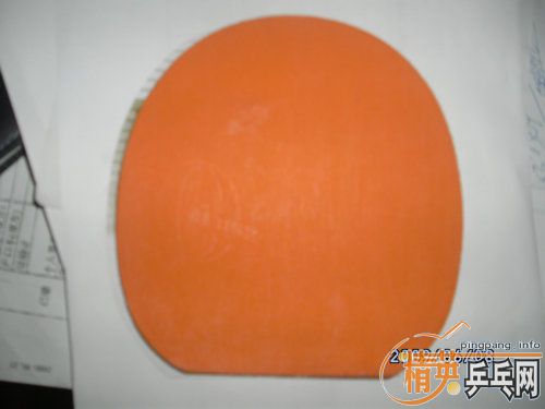 ��ͦ������  729