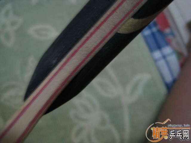 ���ղص�������