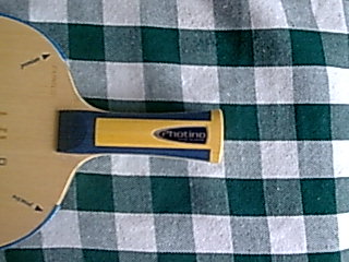 ���ڹ��������ſ�����Ҧ���������