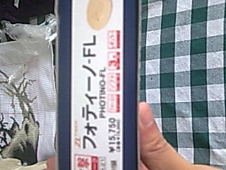 ���ڹ��������ſ�����Ҧ���������