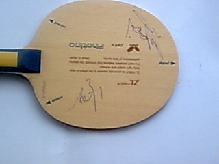 ���ڹ��������ſ�����Ҧ���������