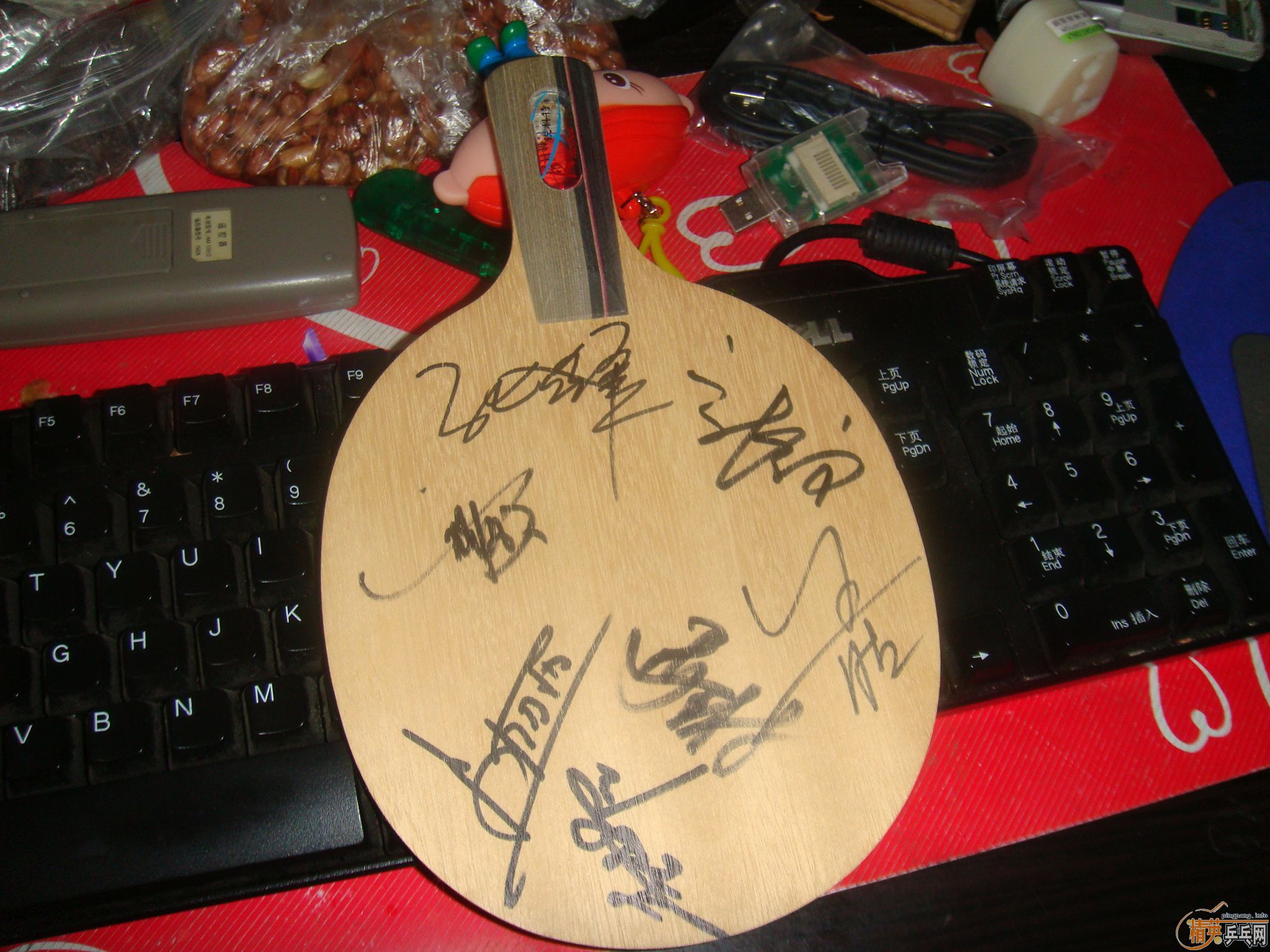 ���ڹ��������ſ�����Ҧ���������ǩ����photino