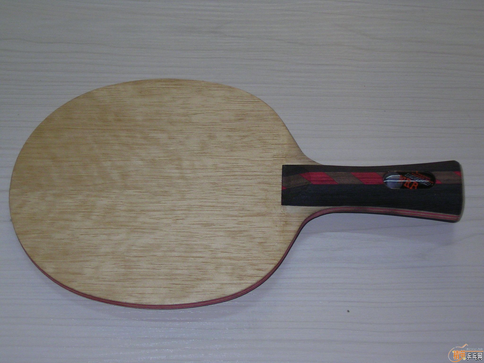 BANDA CL 300��˳��