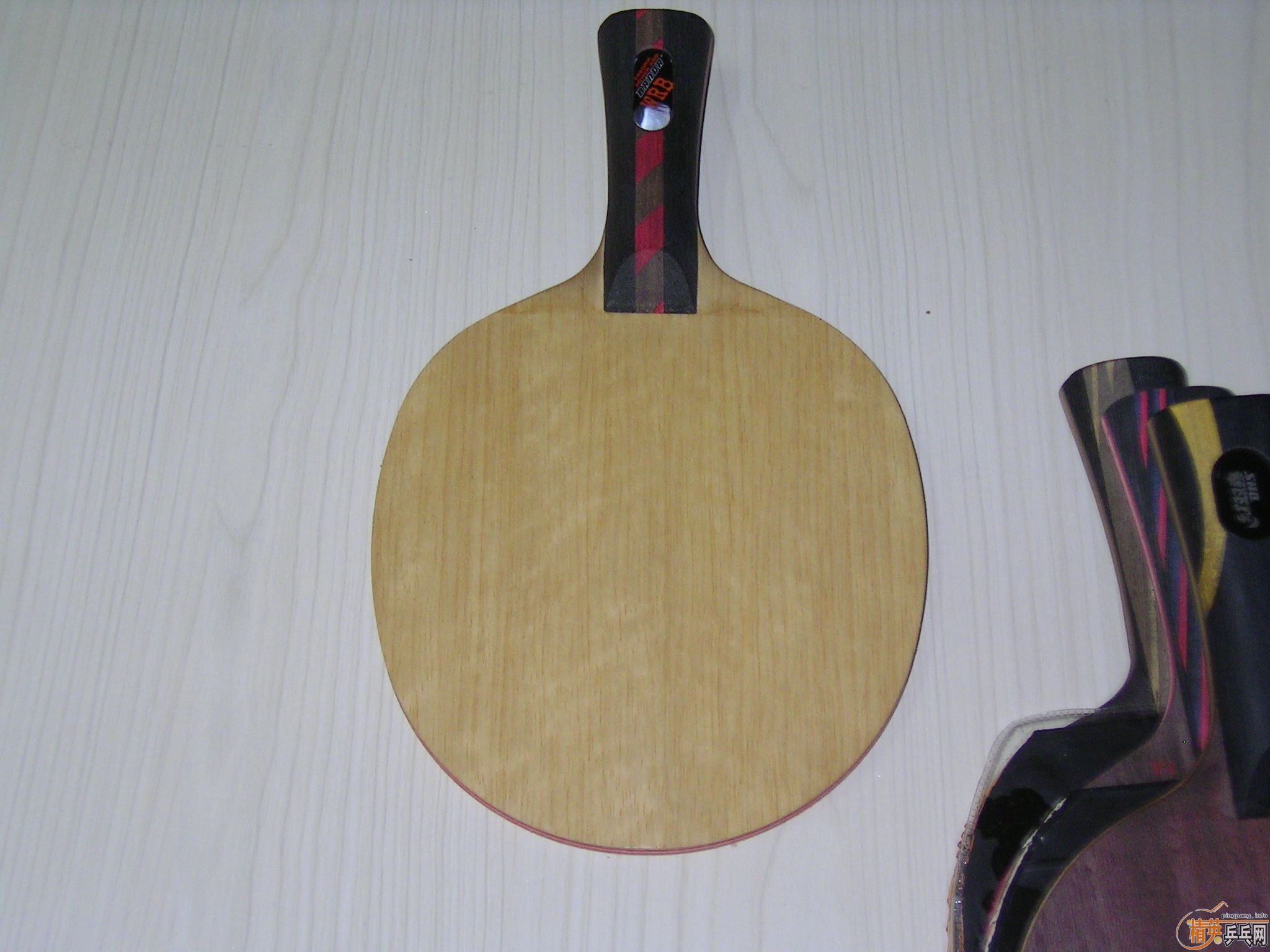 BANDA CL 300��˳��